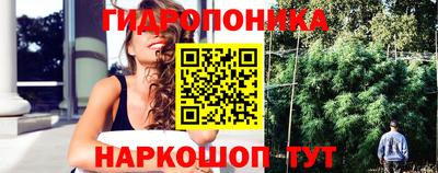 spice Бузулук
