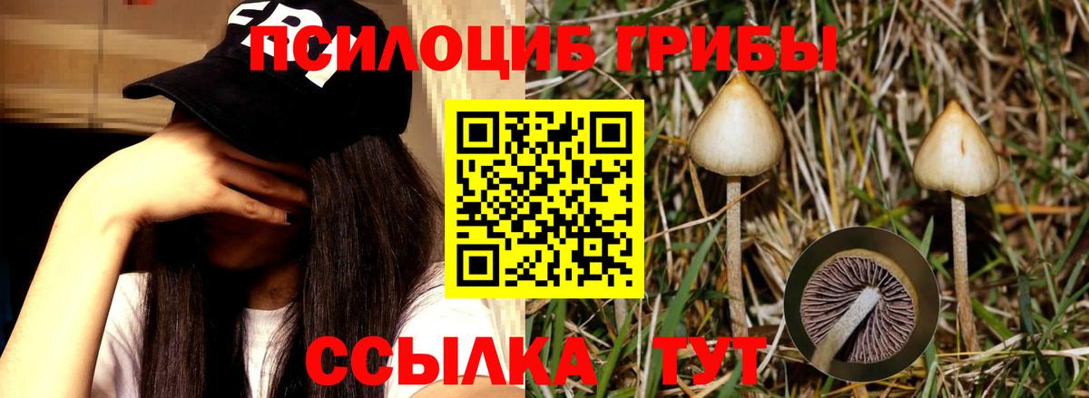 Псилоцибиновые грибы Magic Shrooms Канск